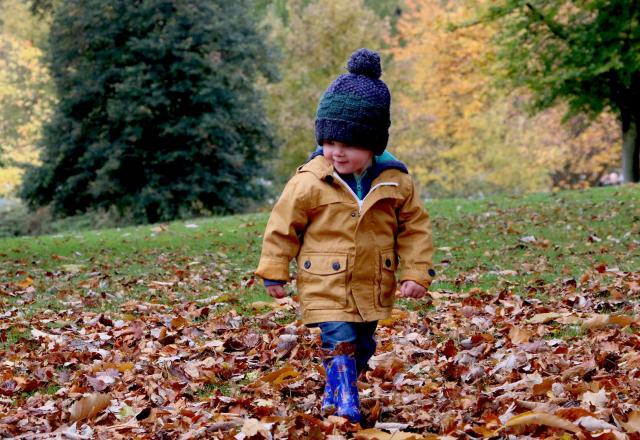 little boy walking in leaves