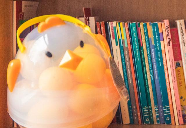 Bookshelf with a toy chick